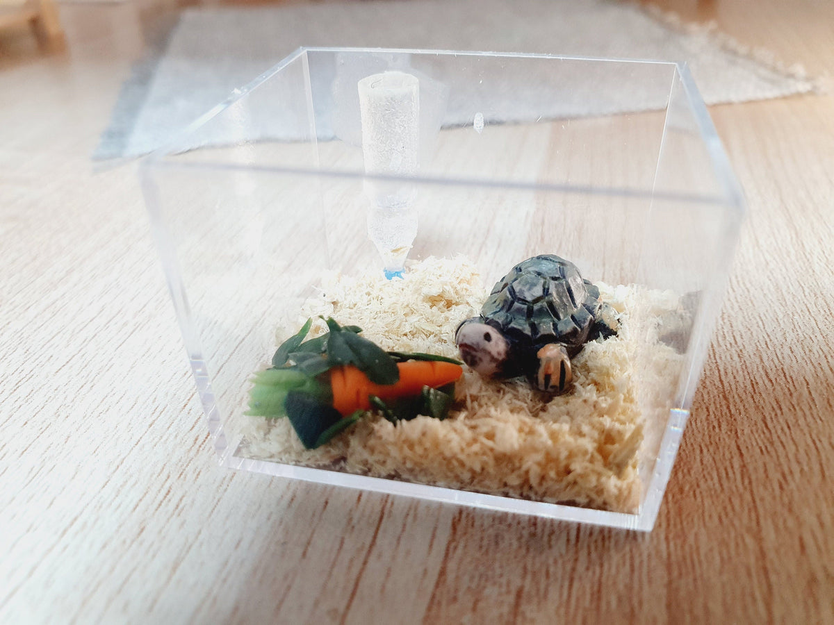 Dolls House Tortoise Cage with Food, Water Bottle, 12th Scale, Miniature Tortoise