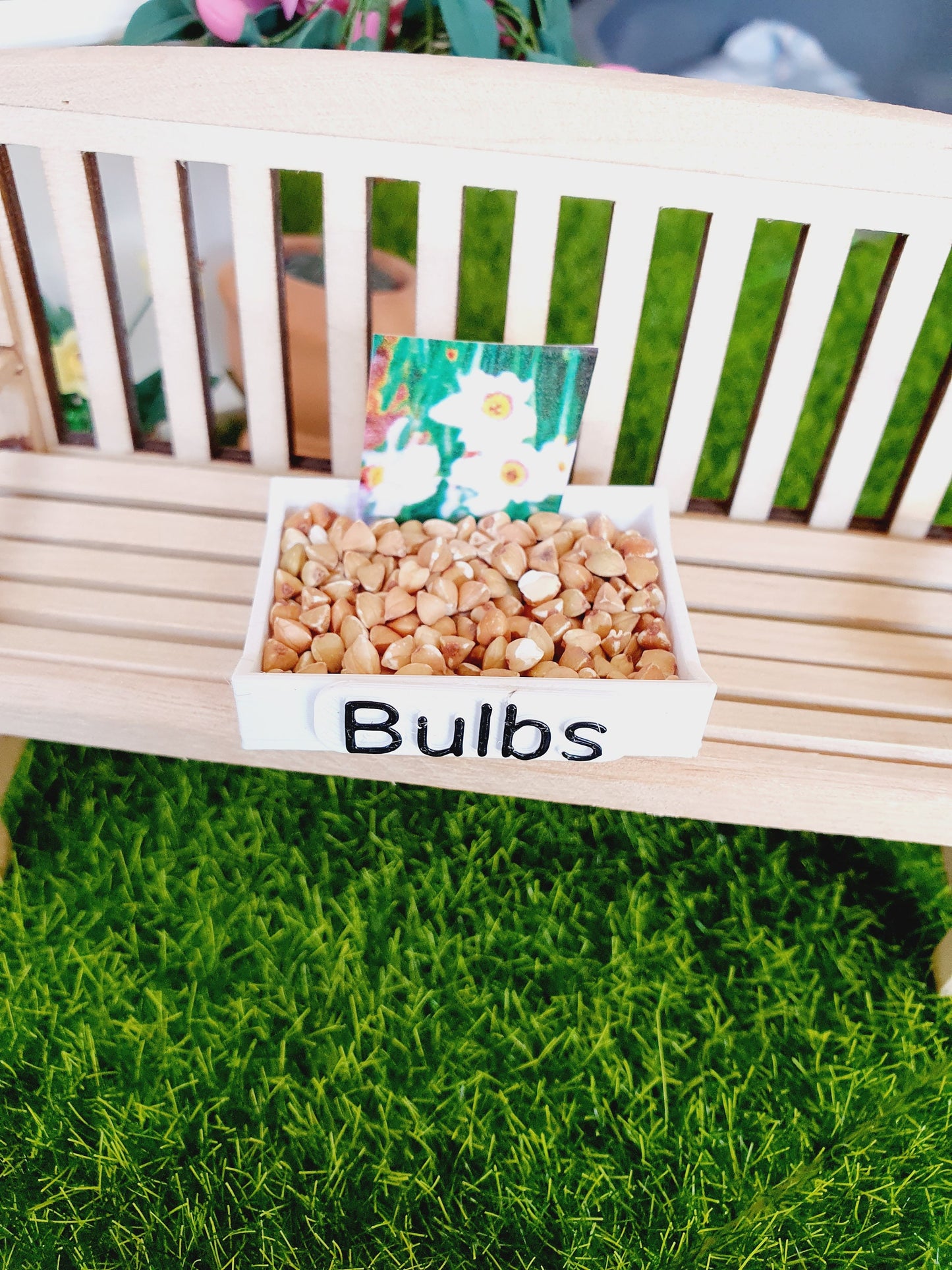 Dolls House Garden Bulb Tray complete with Miniature bulbs, Miniature garden, 12th Scale Garden