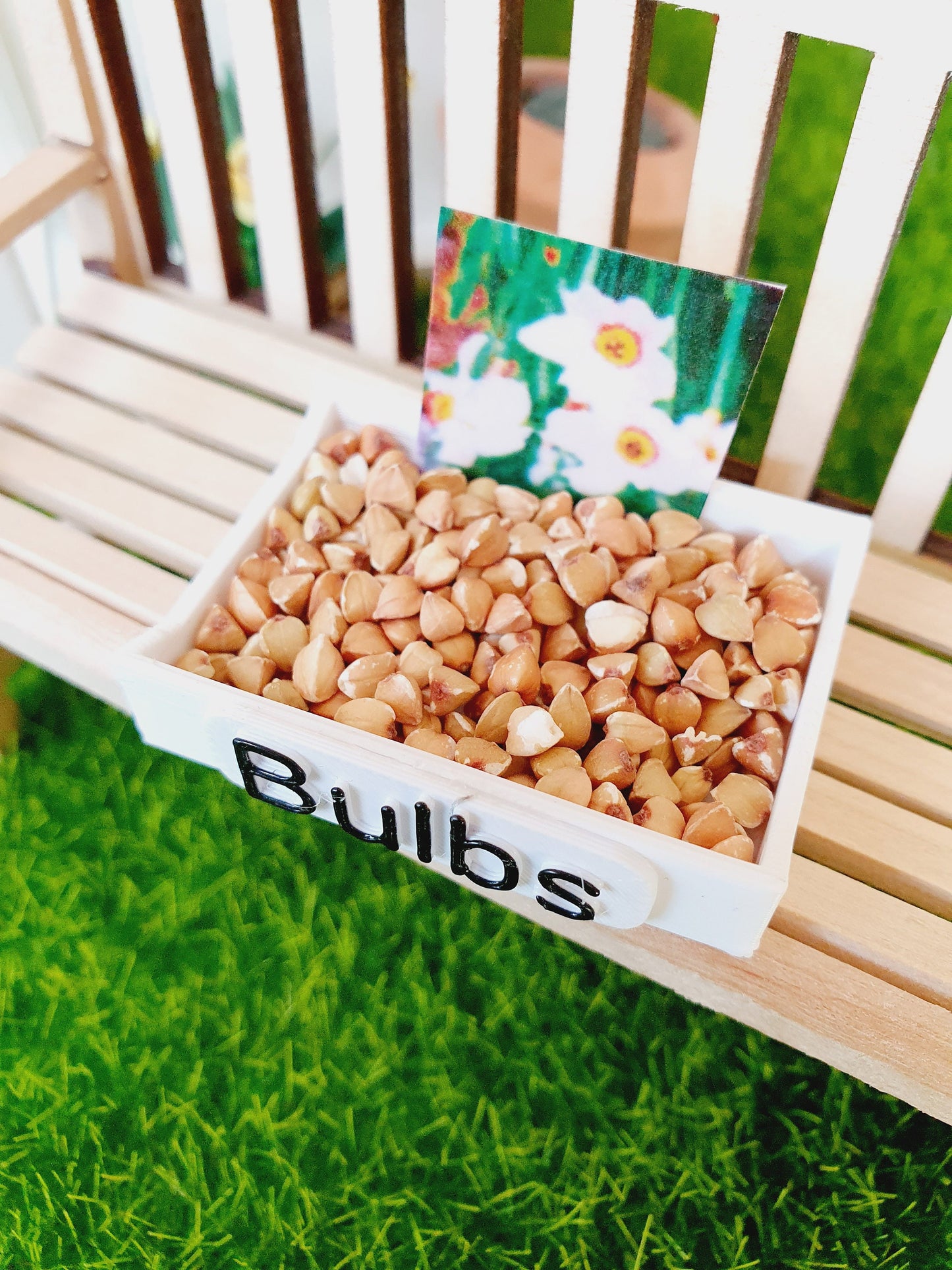 Dolls House Garden Bulb Tray complete with Miniature bulbs, Miniature garden, 12th Scale Garden