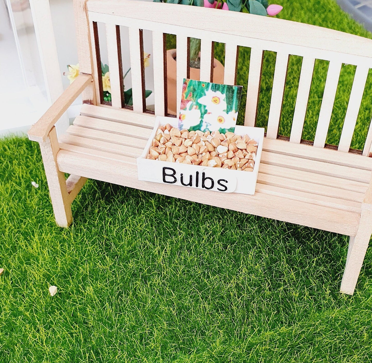 Dolls House Garden Bulb Tray complete with Miniature bulbs, Miniature garden, 12th Scale Garden