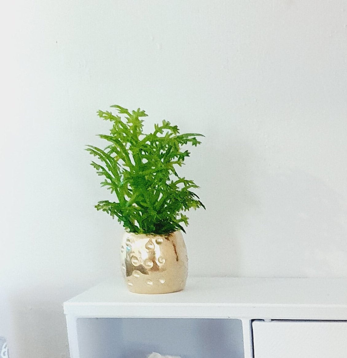Dolls House Brass Plant Pot with Green Plant 1:12th Scale, Miniature