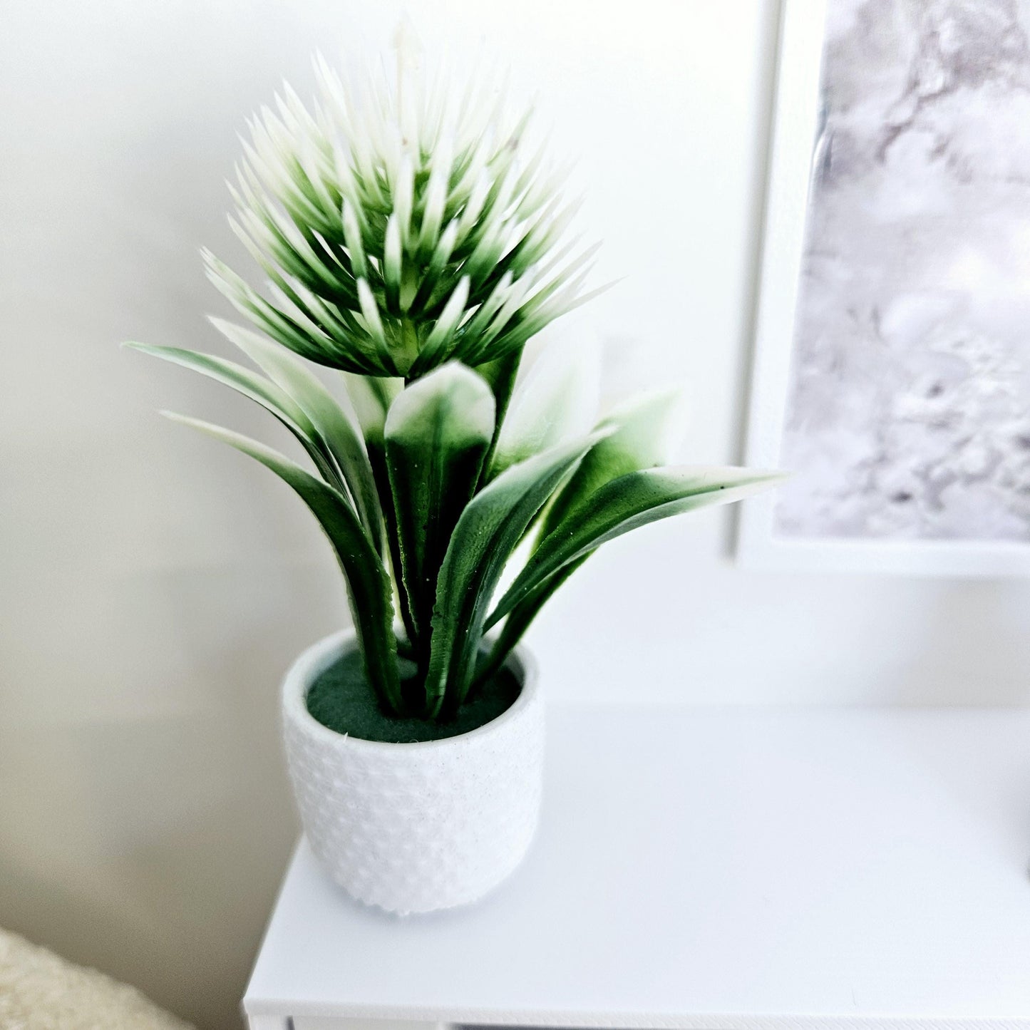Dolls House Modern White Flower in a Coloured Plant Pot, Plant 1:12th Scale, Miniature Plant Pot, Dollhouse Accessories