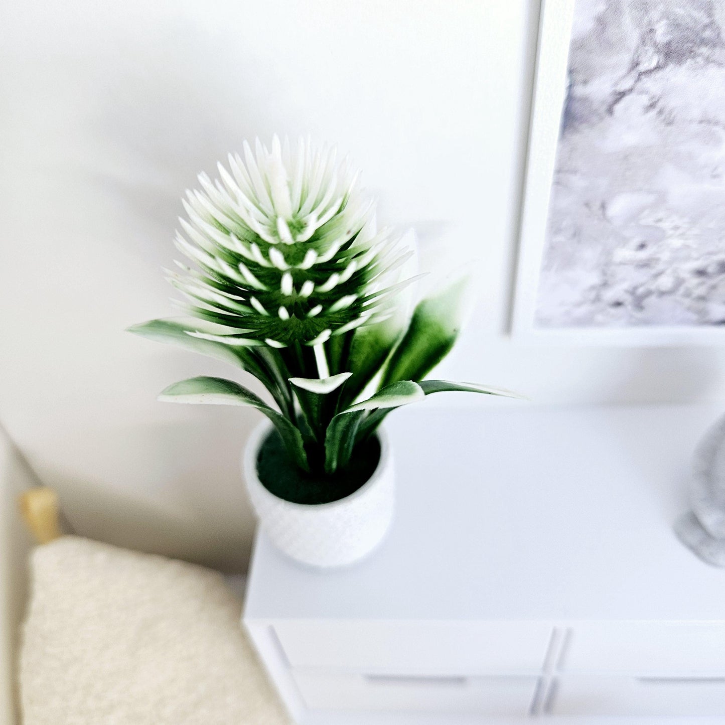 Dolls House Modern White Flower in a Coloured Plant Pot, Plant 1:12th Scale, Miniature Plant Pot, Dollhouse Accessories