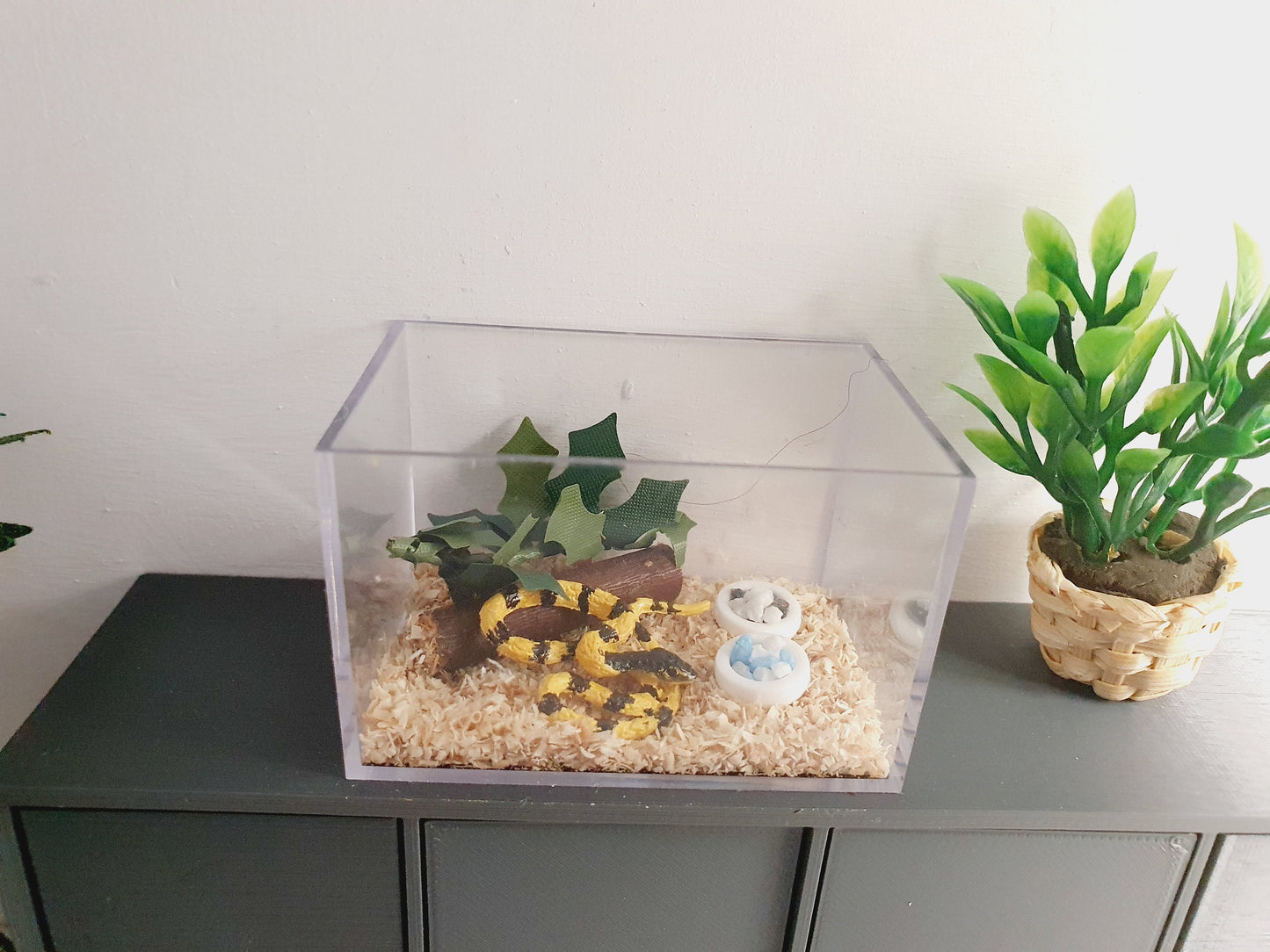 Dolls House Snake Cage/ Enclosure, 12th Scale, Miniature Snake