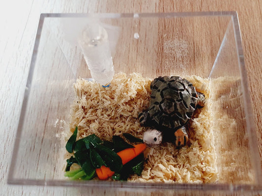 Dolls House Tortoise Cage with Food, Water Bottle, 12th Scale, Miniature Tortoise