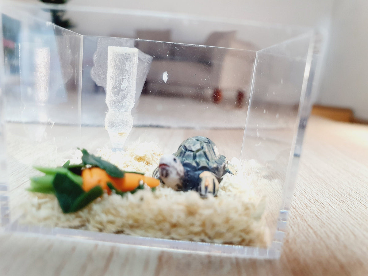 Dolls House Tortoise Cage with Food, Water Bottle, 12th Scale, Miniature Tortoise
