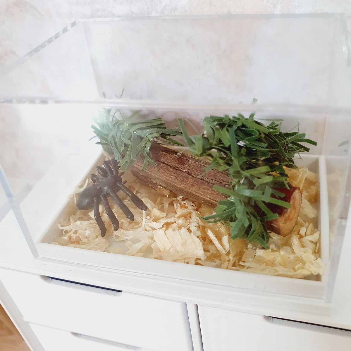 Dolls House Spider cage, 12th Scale, Miniature,