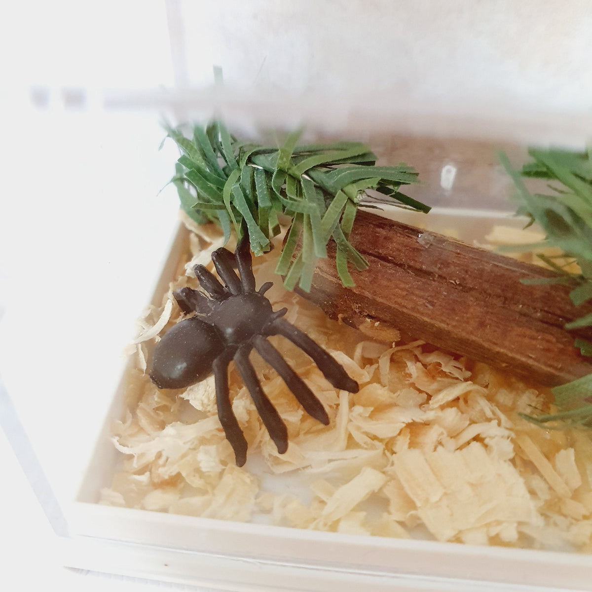 Dolls House Spider cage, 12th Scale, Miniature,