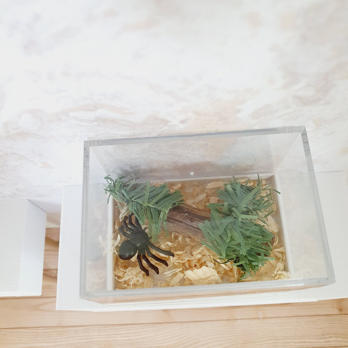 Dolls House Spider cage, 12th Scale, Miniature,