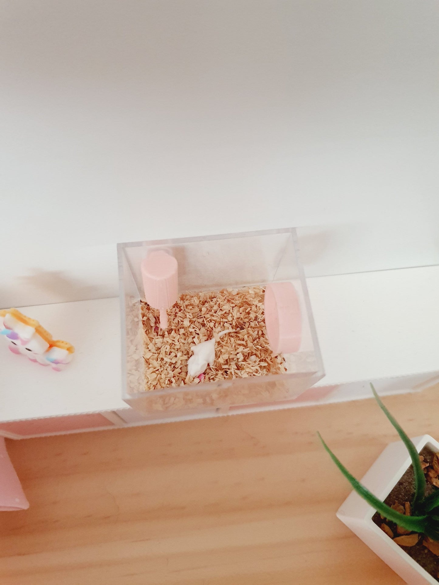 Mouse Cage dolls house miniature  1:12 Miniature White or Grey mouse