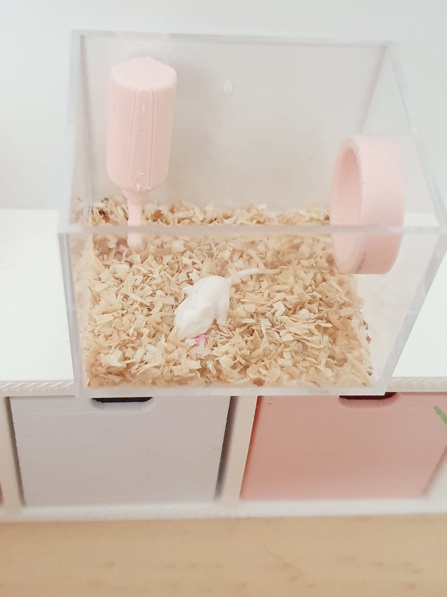 Mouse Cage dolls house miniature  1:12 Miniature White or Grey mouse