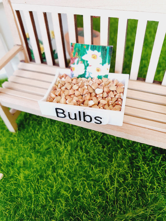 Dolls House Garden Bulb Tray complete with Miniature bulbs, Miniature garden, 12th Scale Garden