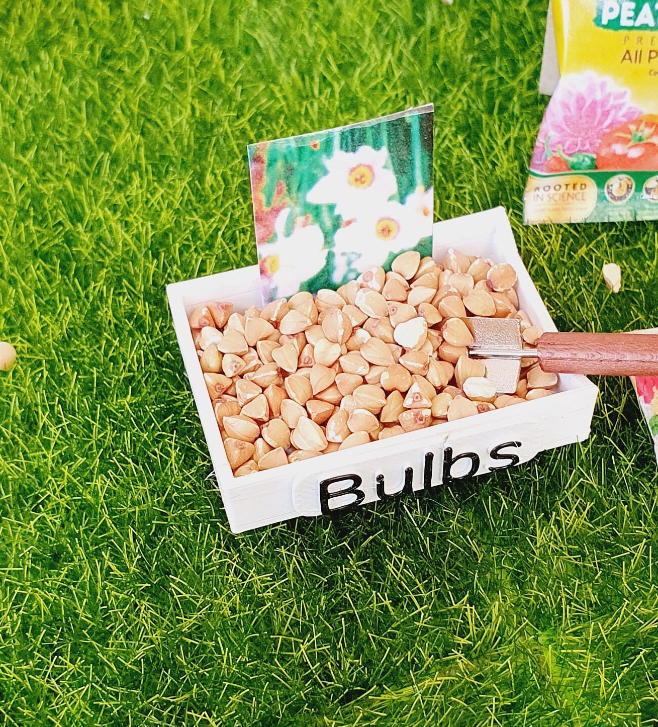 Dolls House Garden Bulb Tray complete with Miniature bulbs, Miniature garden, 12th Scale Garden