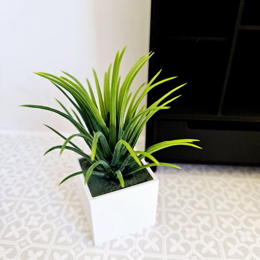 Dolls House Coloured Plant Pot with Green Plant  1:12th Scale, Miniature