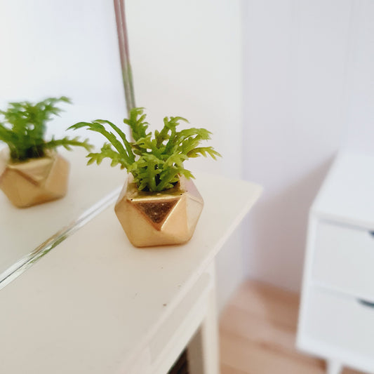 Dolls House Gold Plant Pot with Green Plant  1:12th Scale, Miniature