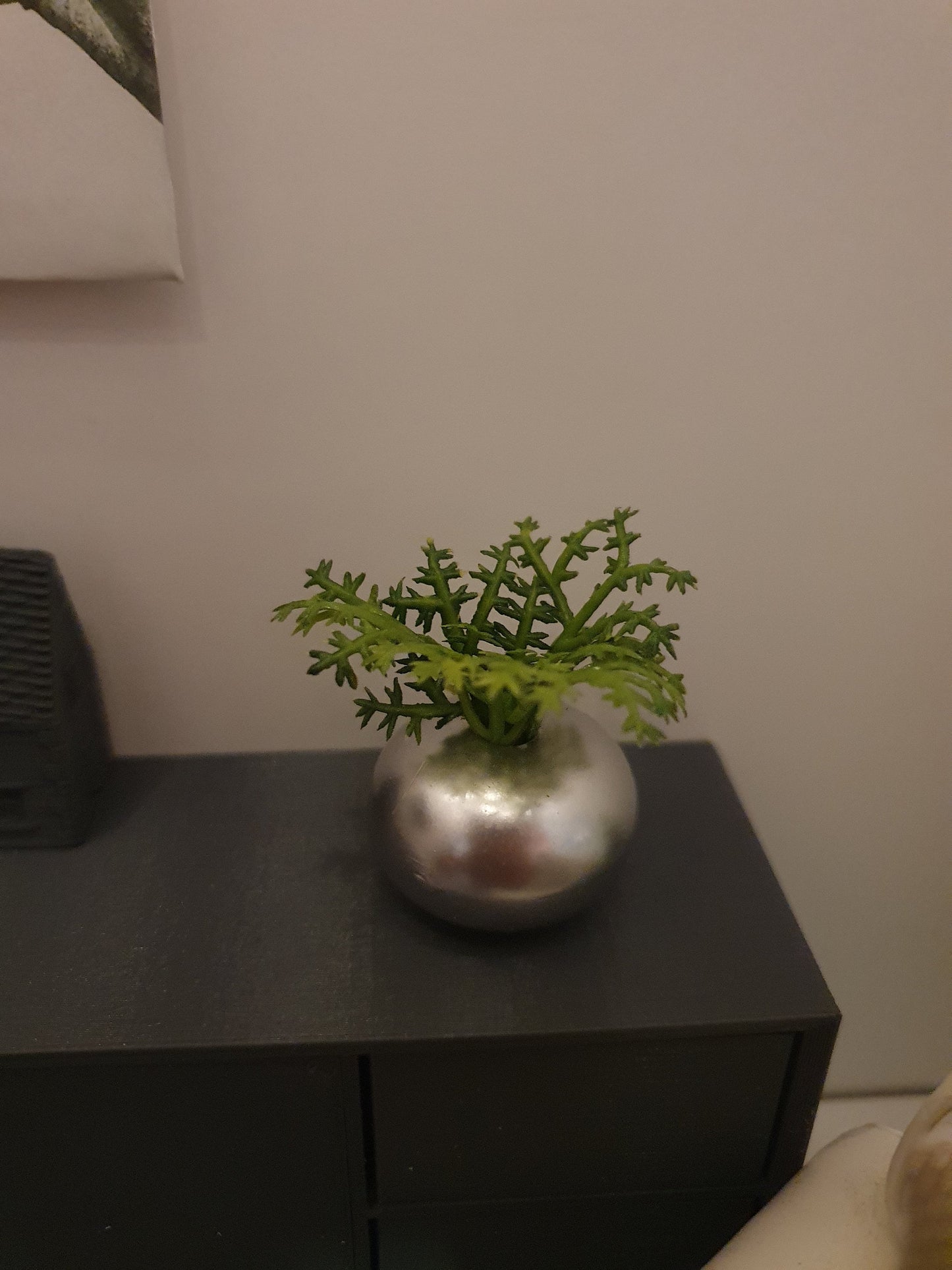 Dolls House Silver Round Pot with Green Plant, 1:12th Scale, Miniature Plant Pot, Dollhouse Accessories