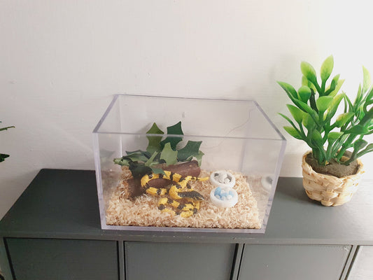 Dolls House Snake Cage/ Enclosure, 12th Scale, Miniature Snake