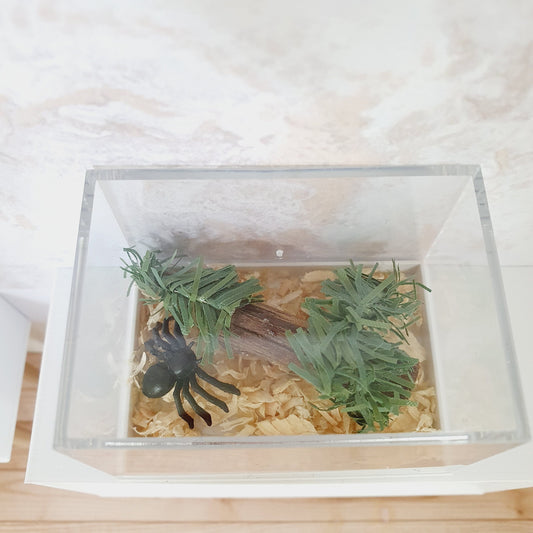 Dolls House Spider cage, 12th Scale, Miniature,
