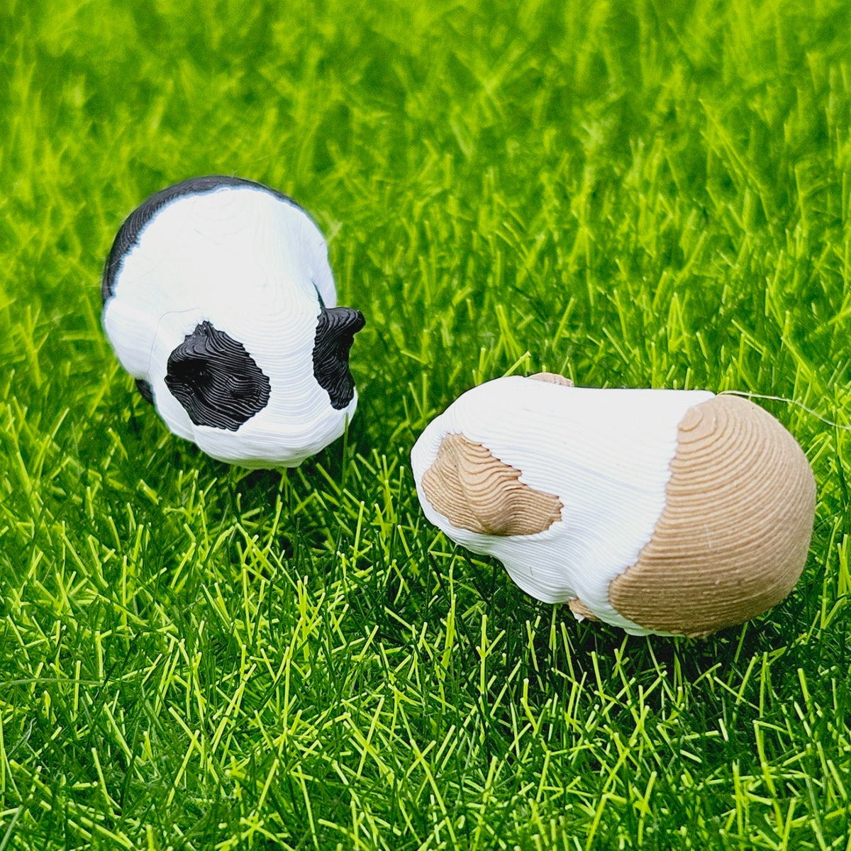 dollhouse guinea pigs, 2x guinea pigs, 1x black and white, 1x brown and white, length 2cm, 3d printed, 12th scale miniature