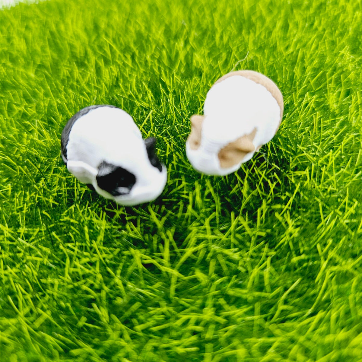 dollhouse guinea pigs, 2x guinea pigs, 1x black and white, 1x brown and white, length 2cm, 3d printed, 12th scale miniature