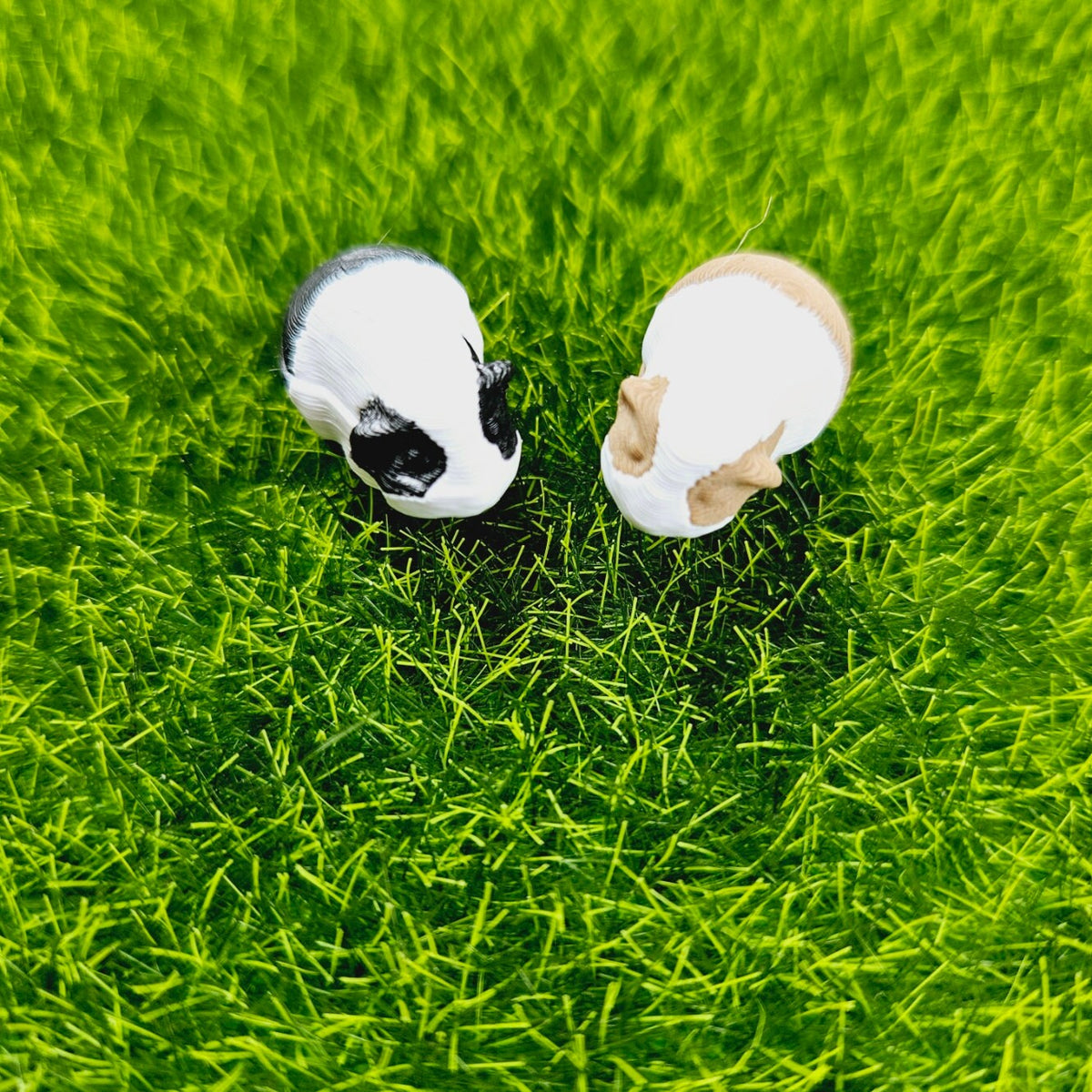 dollhouse guinea pigs, 2x guinea pigs, 1x black and white, 1x brown and white, length 2cm, 3d printed, 12th scale miniature