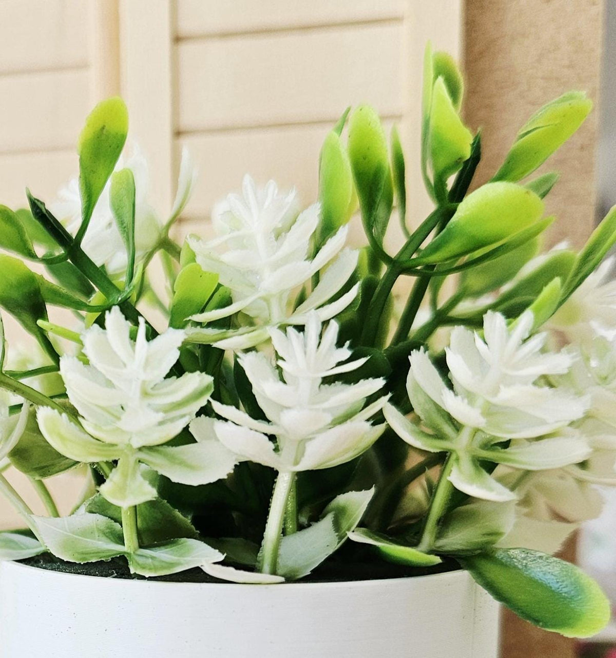 Large Plant Pot with White Flowers | Oversized Planter | Choice of Colours | 1:12 Scale