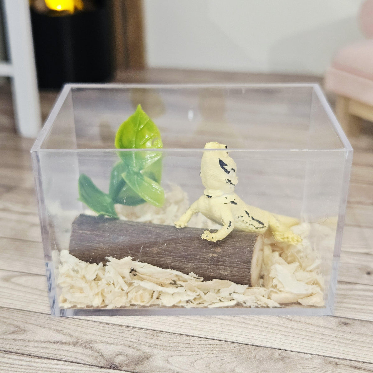 bearded dragon vivarium kit in a 1:12 scale dolls house display