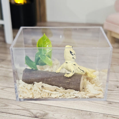 bearded dragon vivarium kit in a 1:12 scale dolls house display