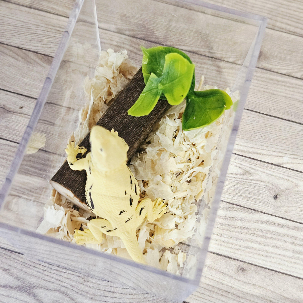 bearded dragon vivarium kit in a 1:12 scale dolls house display, detail view 5