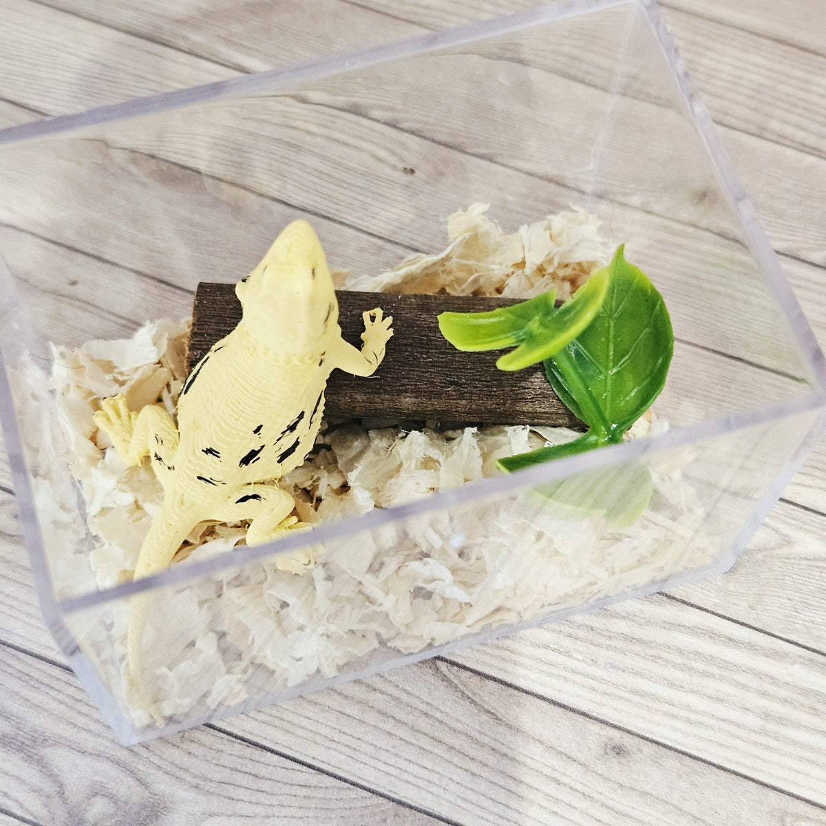 bearded dragon vivarium kit in a 1:12 scale dolls house display, detail view 6