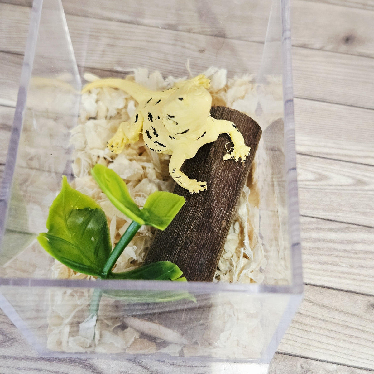 bearded dragon vivarium kit in a 1:12 scale dolls house display, detail view 7