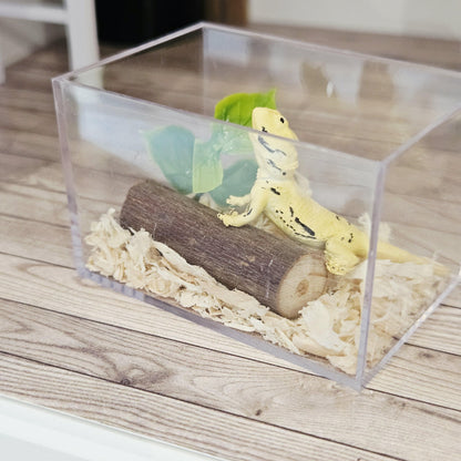 bearded dragon vivarium kit in a 1:12 scale dolls house display, detail view 8