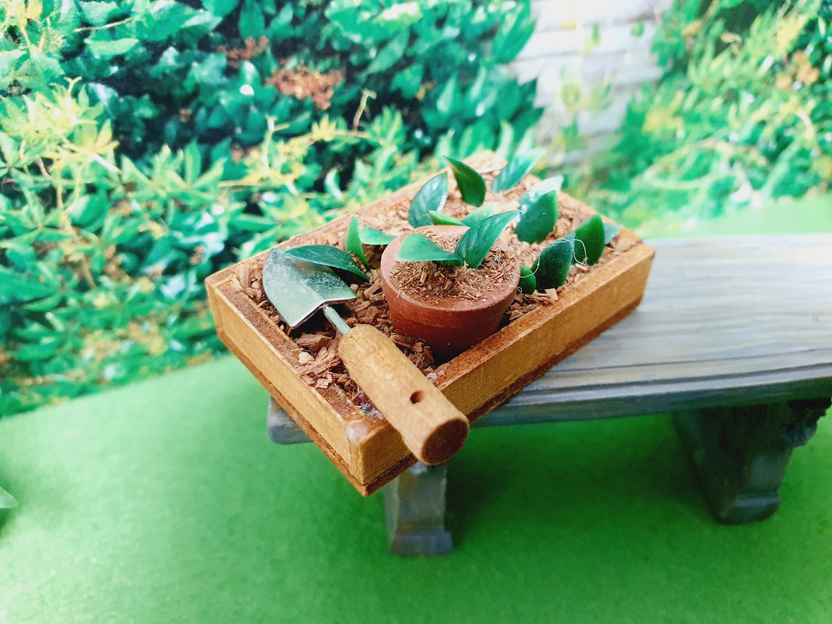 Garden seedbed in a shallow crate on a grey bench, with green seedlings, a round brown pot and a trowel across the near corner.