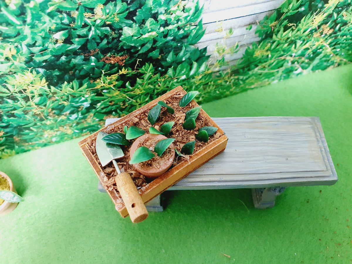 Overhead view of the crated garden seedbed on a grey bench, showing leafy seedlings, a central pot and the trowel along one side.