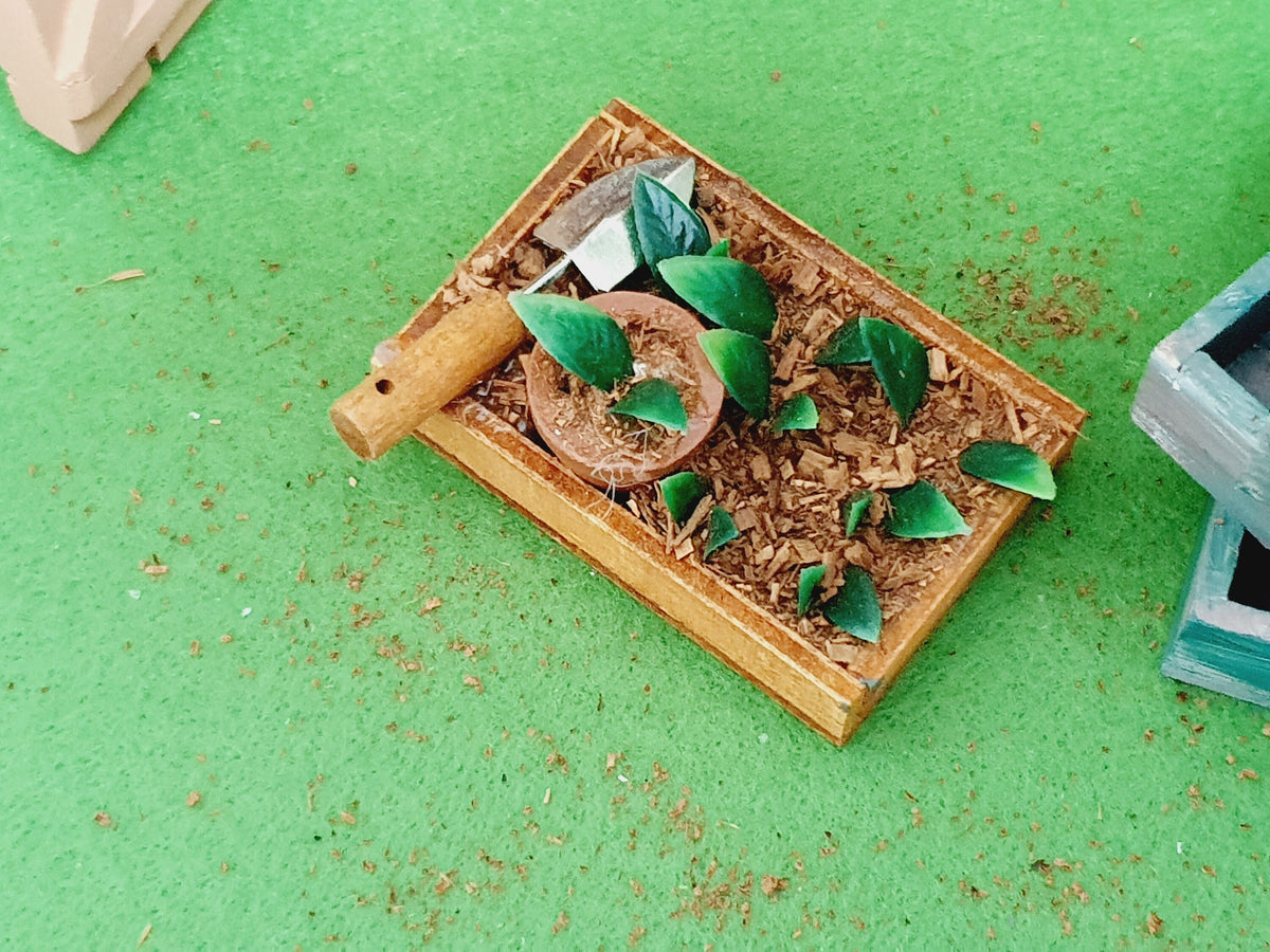 Top view of the garden seedbed on a green surface, with seedlings around a round pot and a trowel across one corner.