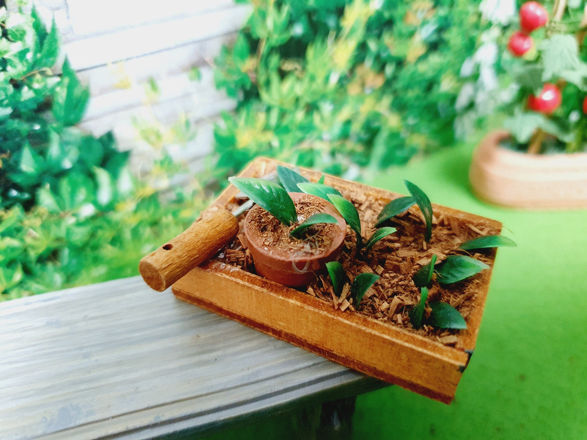Side view of the garden seedbed, showing the crate edge, textured brown surface, green leaves and trowel beside a round pot.